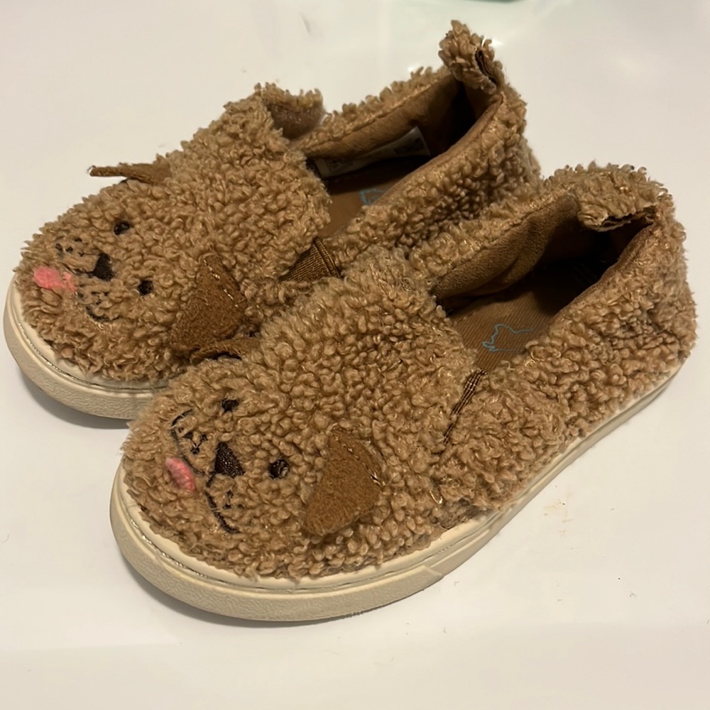 Cute puppy toms